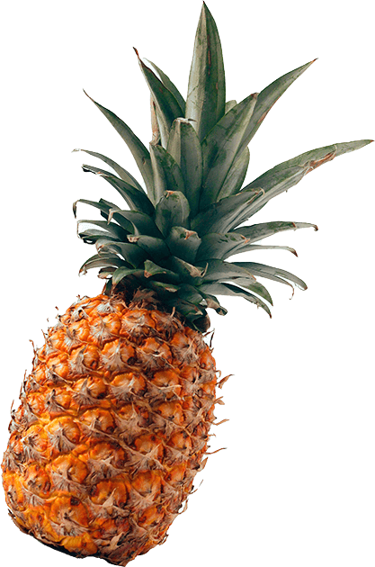 img-pineapplle2