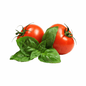 Tomato Plant